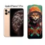گلس پرایوسی کیزاشی مدل Apple IPhone 11 Pro